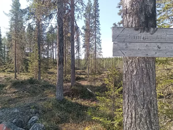 Windschutz am Kuorbevare Kullen