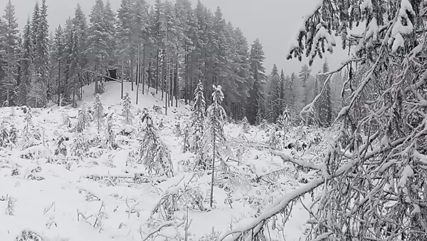 Windschutzhütte am Wanderweg von Adak nach Kuorbevare